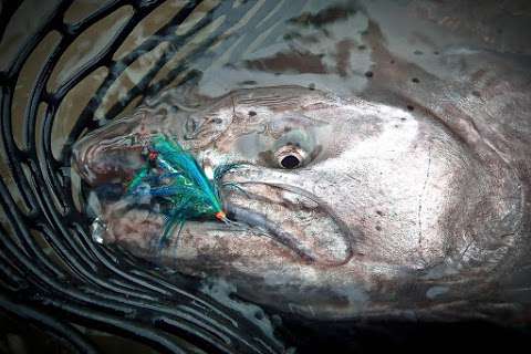 Skeena Spey